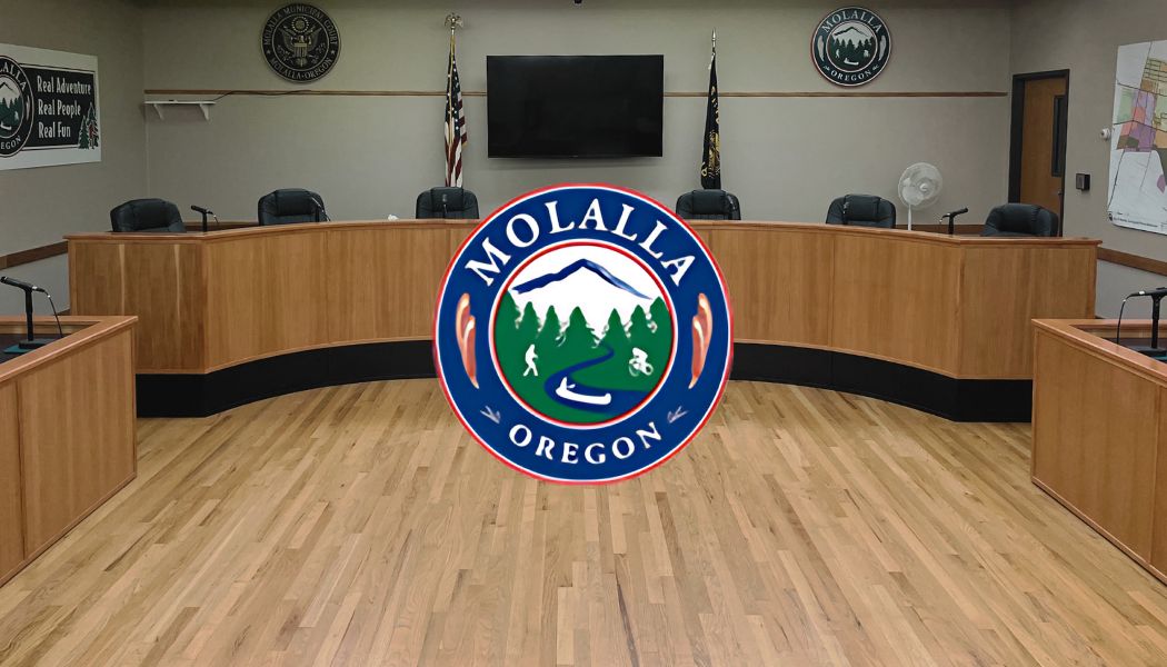 Council Chambers DIAS 2025.jpg