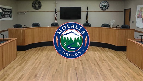 Council Chambers DIAS 2025.jpg
