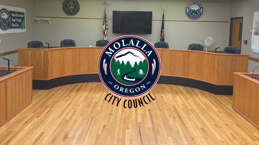 City Council.png