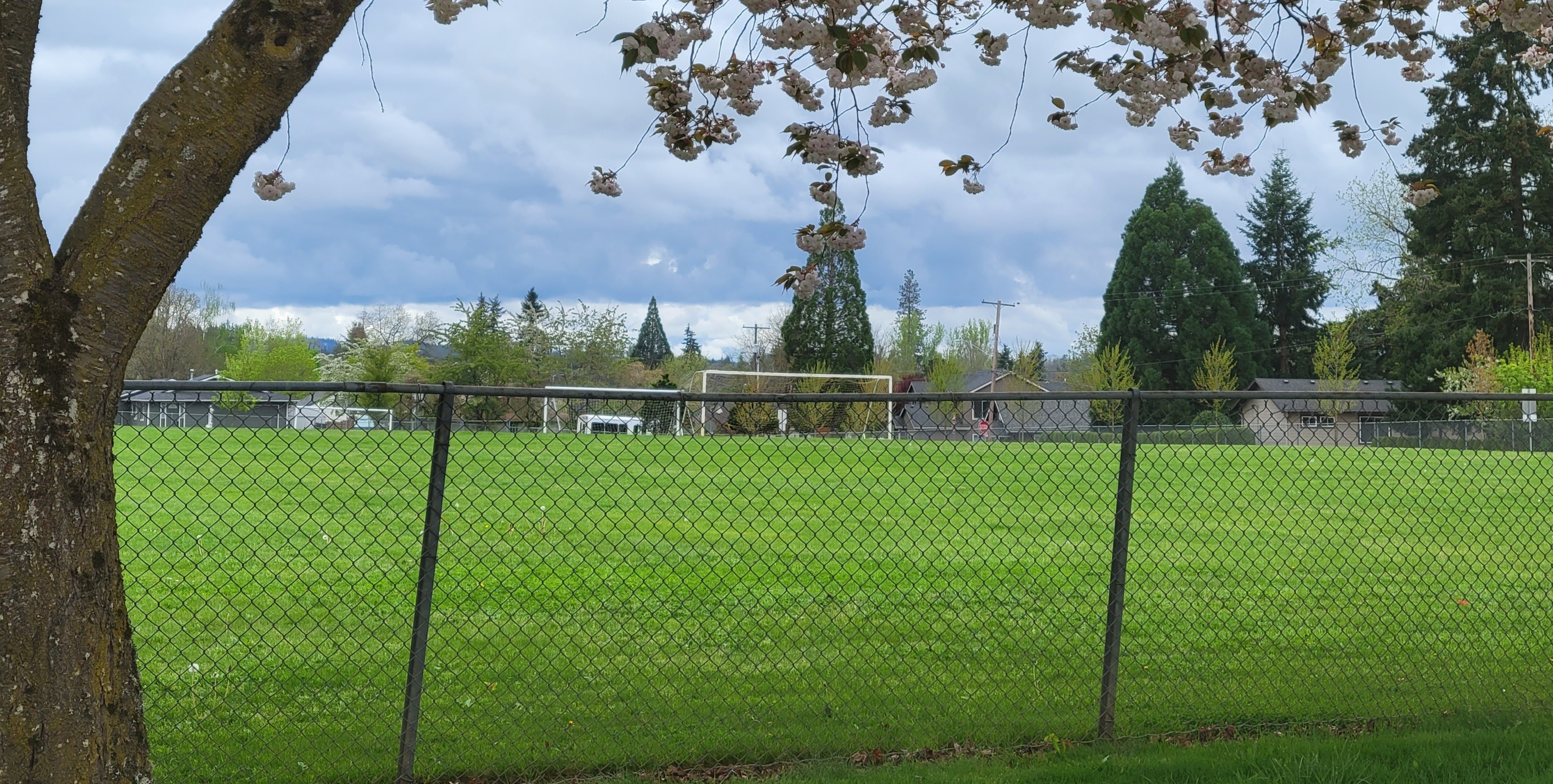 Clark Park  Fields.JPG