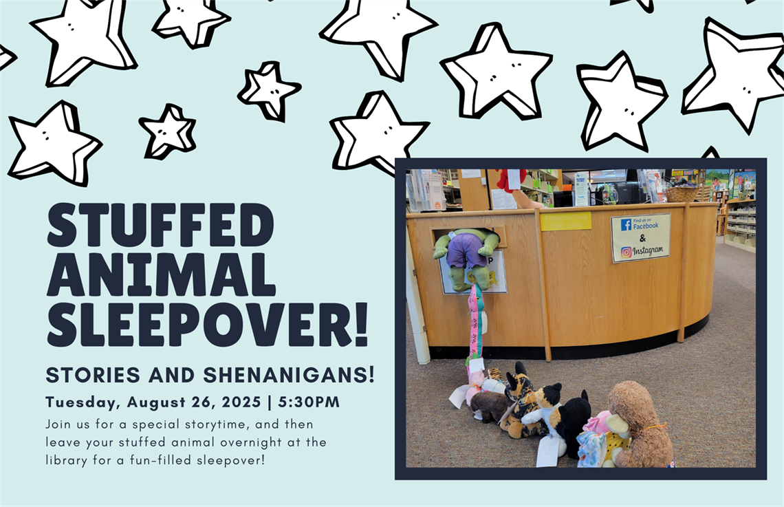 2025 Stuffed Animal Sleepover Poster