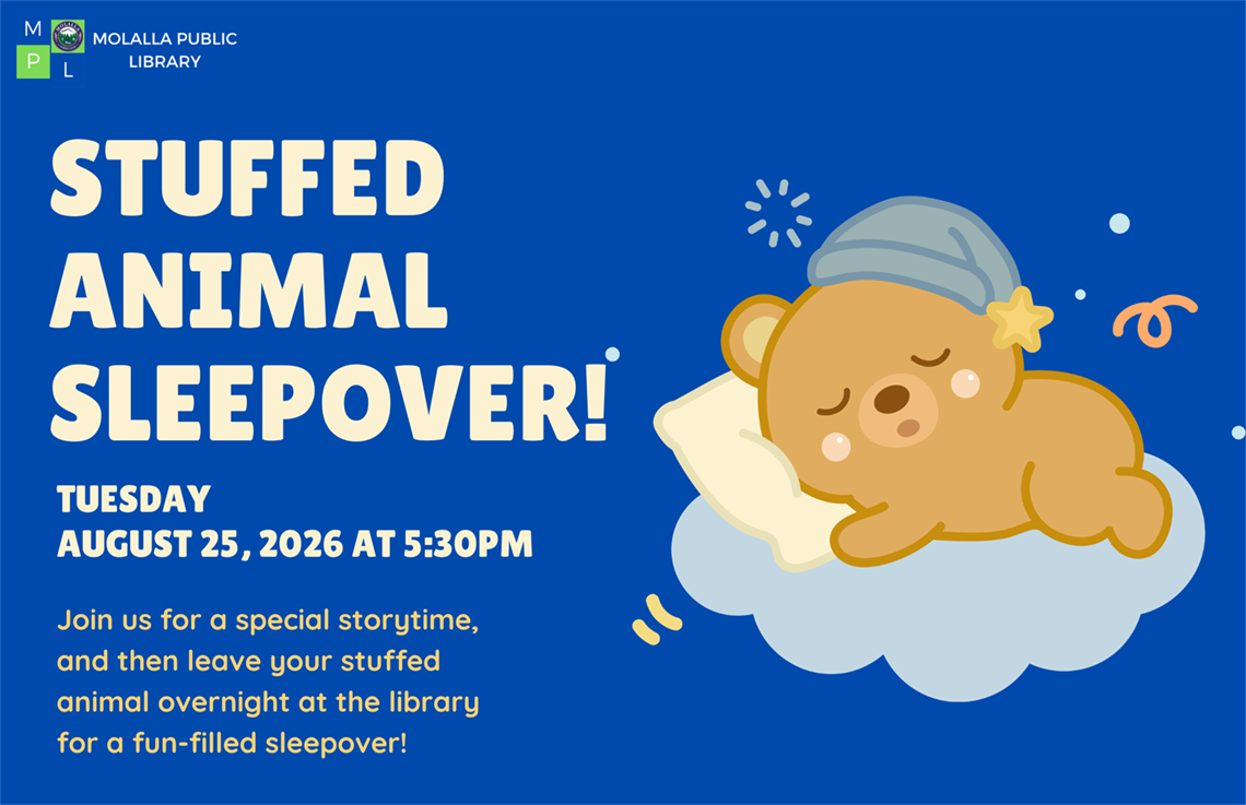 Stuffed Animal Sleepover 2026.png