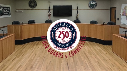 250 - Featured Image - Other Boards & Committees.jpg