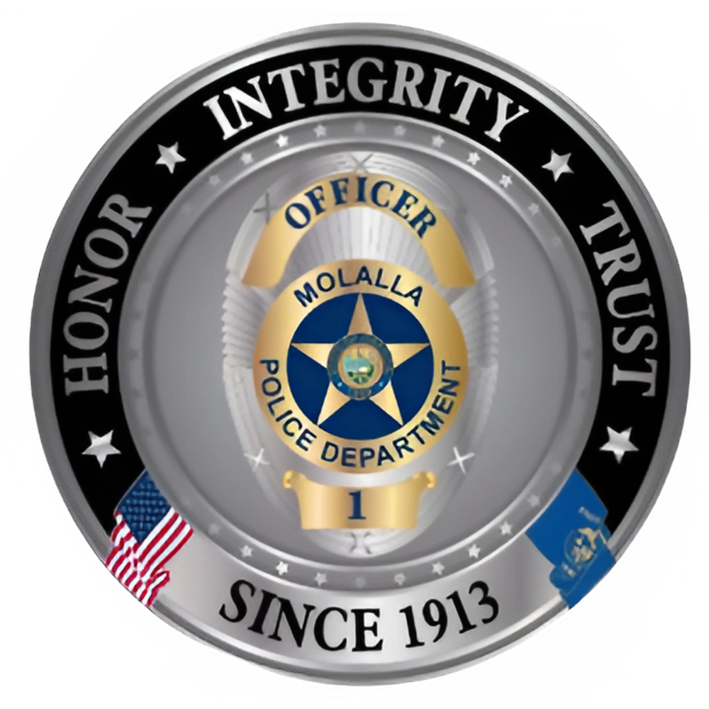 ChallengeCoin-transparent.png