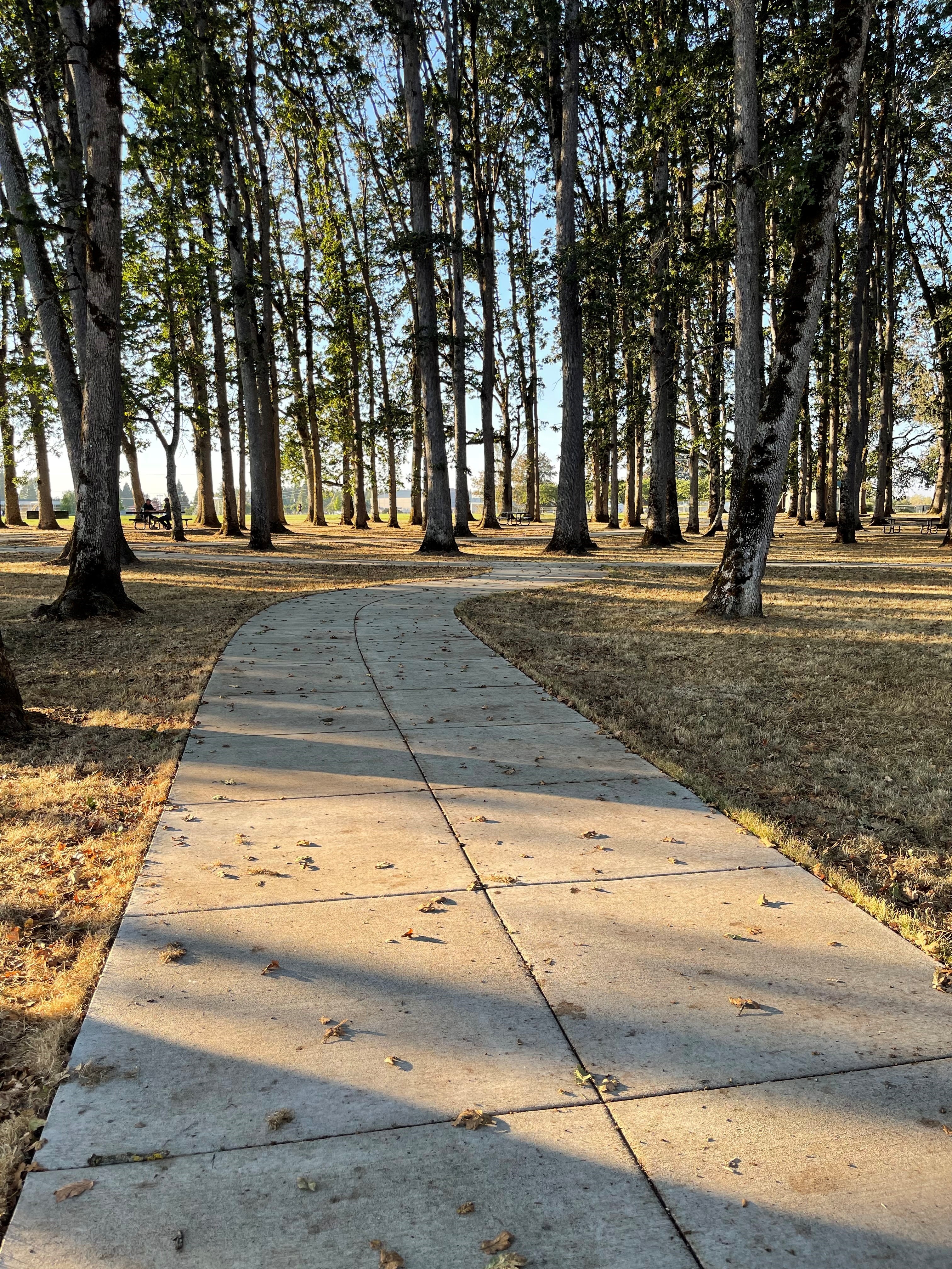 clark park 6.jpg