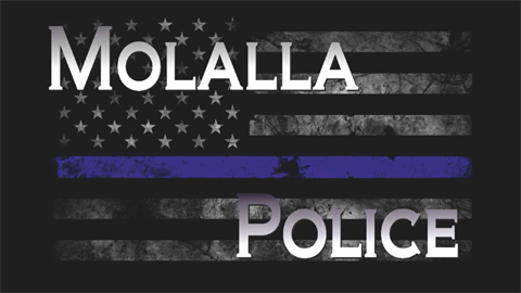 Main Images - Police.png