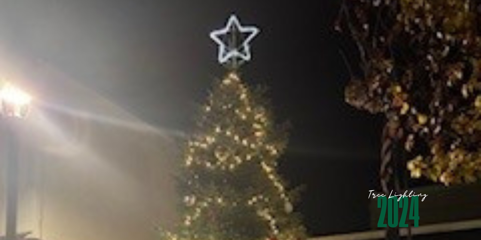 Rotating Sliders - Tree Lighting 3.jpg