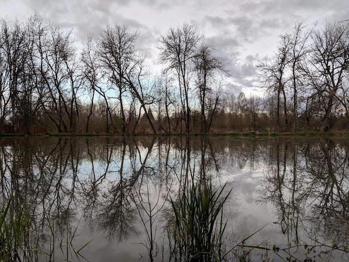 shortys pond.jpg