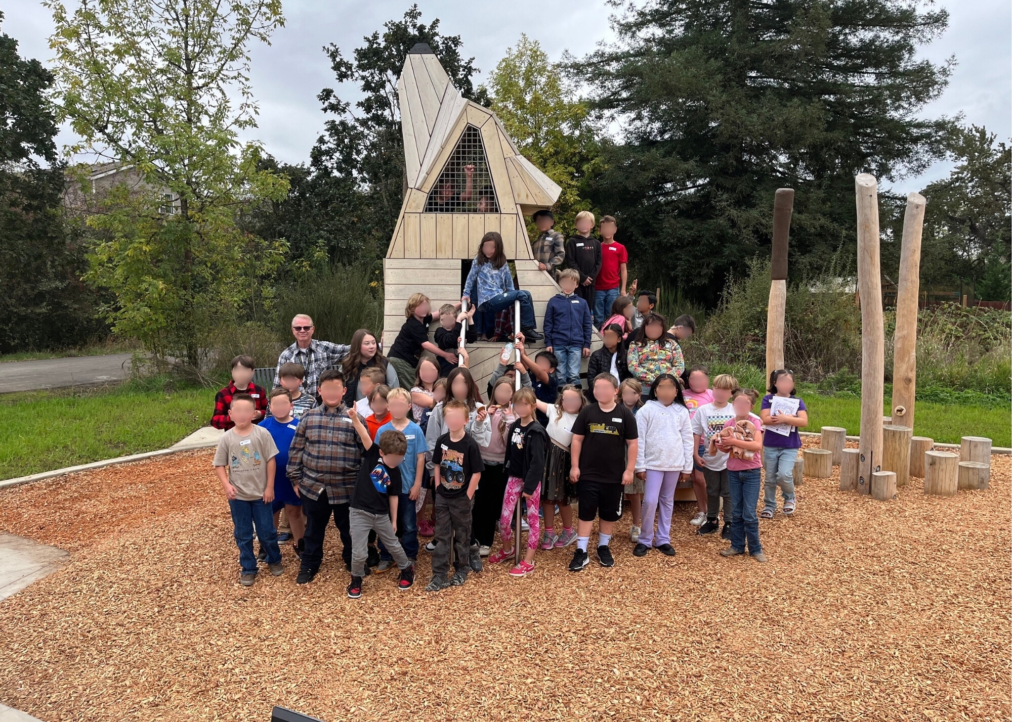 Vermillion class - coyote structure.jpg