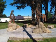 Coyote &  Grizzly