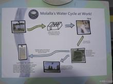 Molalla Recycle Water System